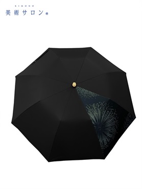 花火 DSH-14  の画像