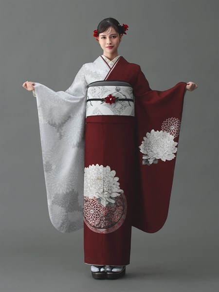 F5715 ボルドー色×祝い菊柄の正絹振袖単品